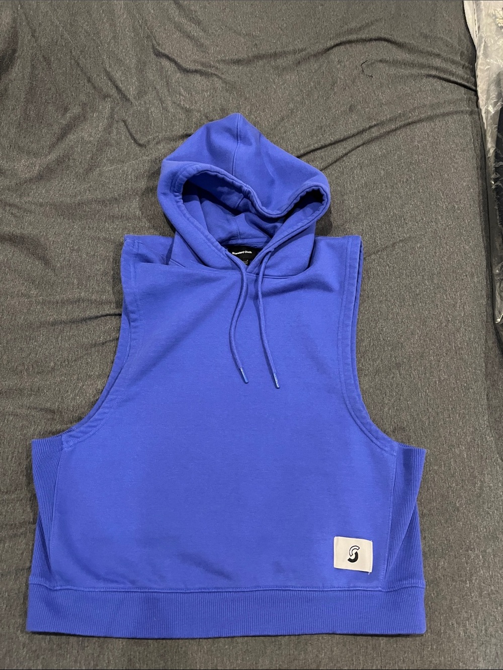 Urban Outfitters Sleeveless Hooded Crop Sweatshirt in Royal Blue
